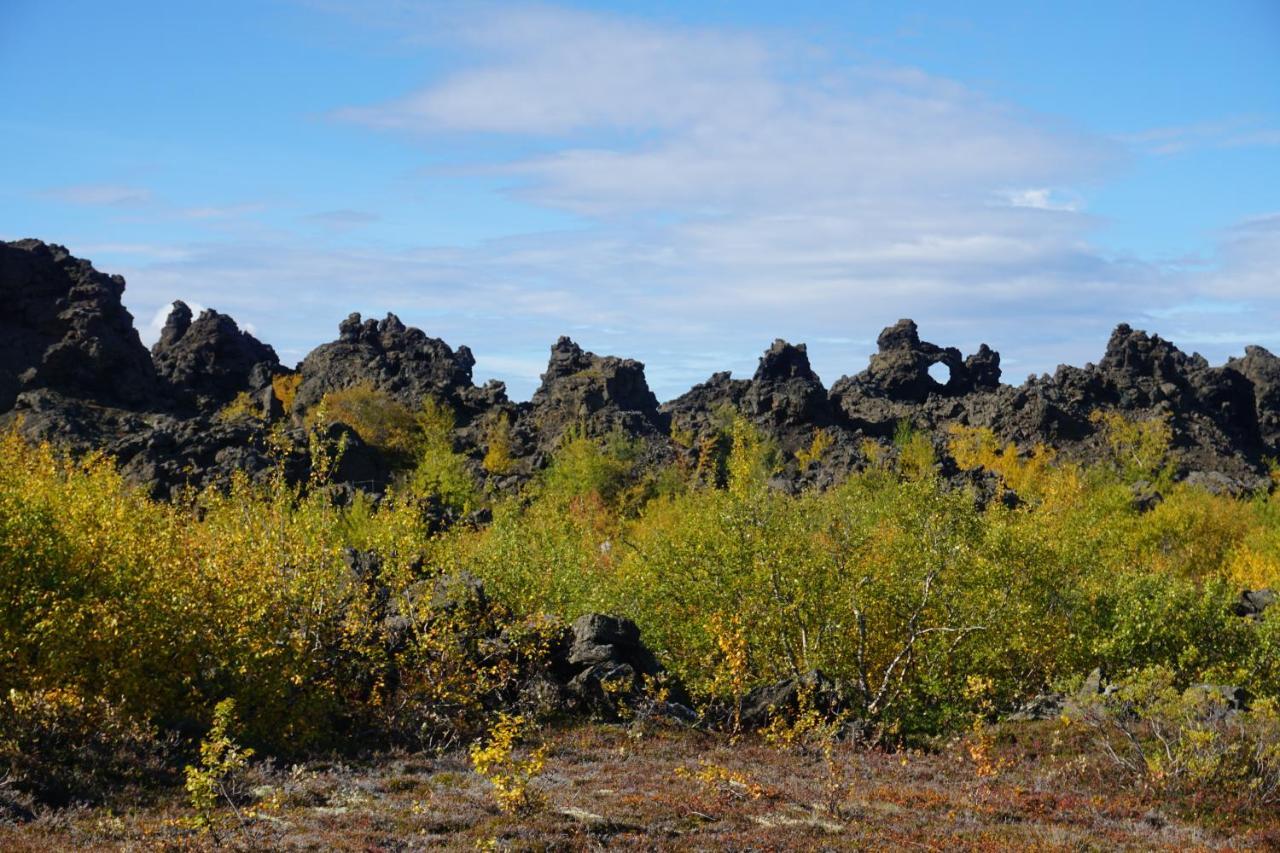 Slow Travel Myvatn - Þufa - Private Homestay Exterior foto